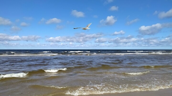 © VICTOR LISITSYN/GLOBALLOOKPRESS