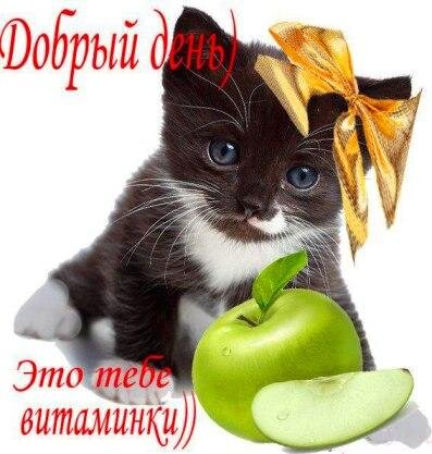 Картинка взята из интернета.
