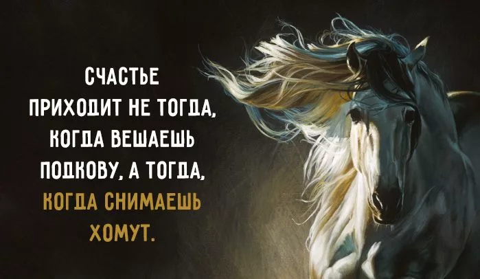 Счастье приходящие. Счастье придет. Счастье придет цитаты. Счастье не приходит. Счастье приходит неожиданно