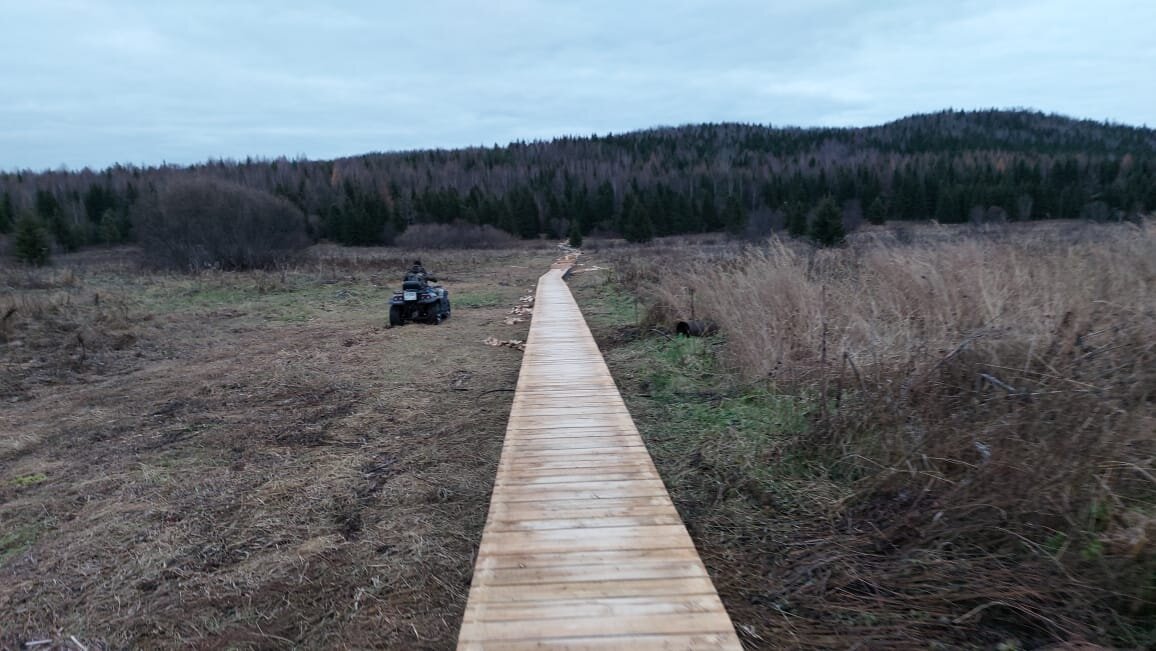 Новая экотропа в Центральносибирском заповеднике. Автор фото И.Ворошилов