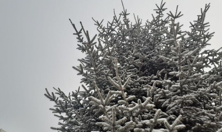 Информация предназначена для лиц старше 18 лет. Контент может содержать сцены курения табака. Курение вредит здоровью