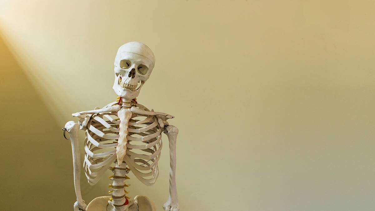    Фото: shutterstock