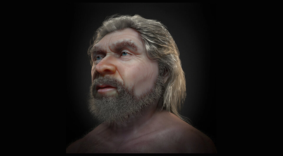   Cicero Moraes et al. / researchgate.net