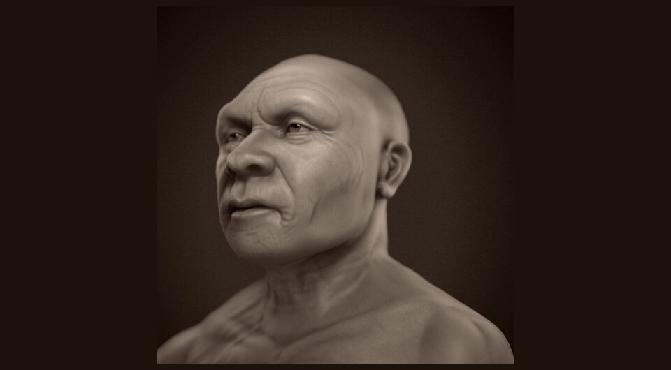   Cicero Moraes et al. / researchgate.net