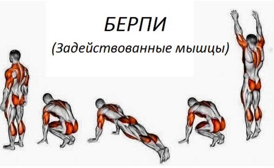 упражнение бёрпи бурпи. упражнения на какие группы мышц. бурпи упражнение для мужчин техника выполнения. берпи мышцы. отжимания мышцы задействованы.