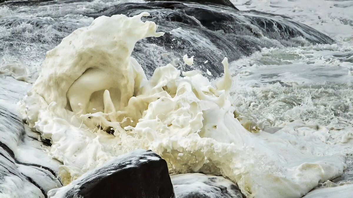     В Ростове на реке Темерник заметили густую белую пену, видео поделились местные Telegram-каналы.