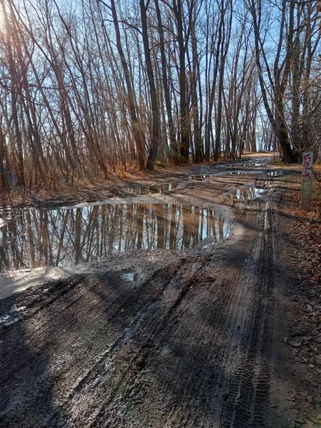 дорога на пляж