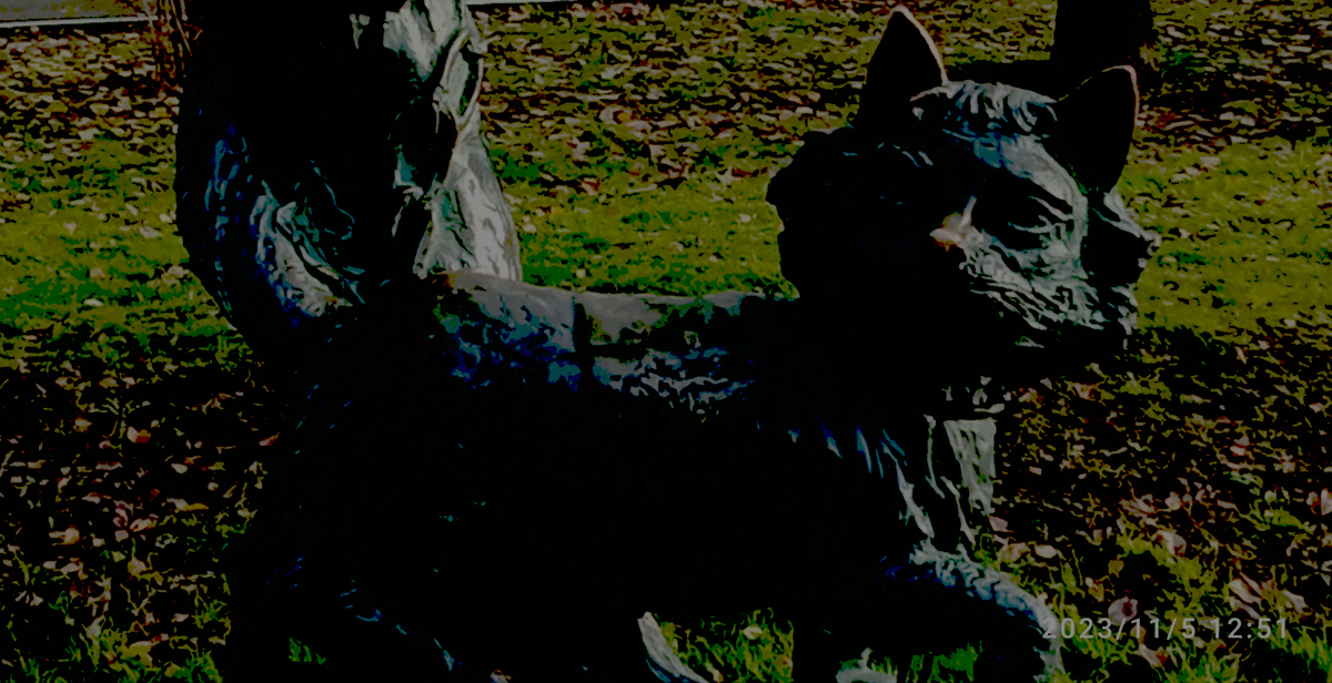 Личное фото. Мой Яндекс Диск.