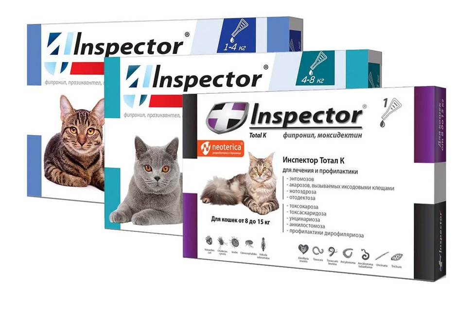 Капли инспектор для кошек купить. Инспектор Quadro k капли на холку для кошек 8-15кг. Капли от блох инспектор Квадро. Inspector для кошек от глистов. Капли от блох для кошек инспектор.