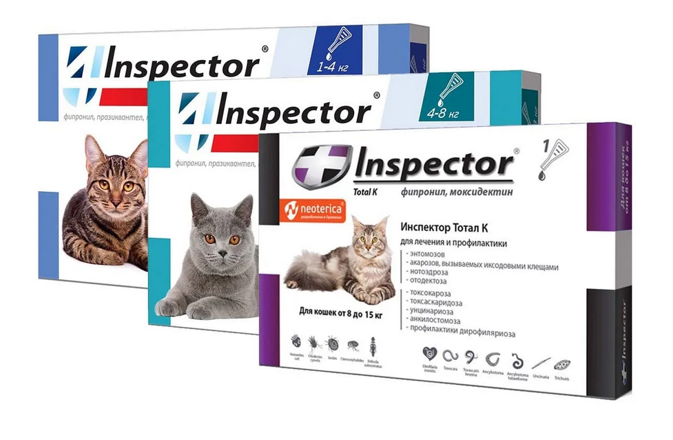 Inspector quadro для кошек 1 4 кг. Инспектор Quadro k капли на холку для кошек 8-15кг. Капли от блох инспектор Квадро. Inspector для кошек от глистов. Капли от блох для кошек инспектор.