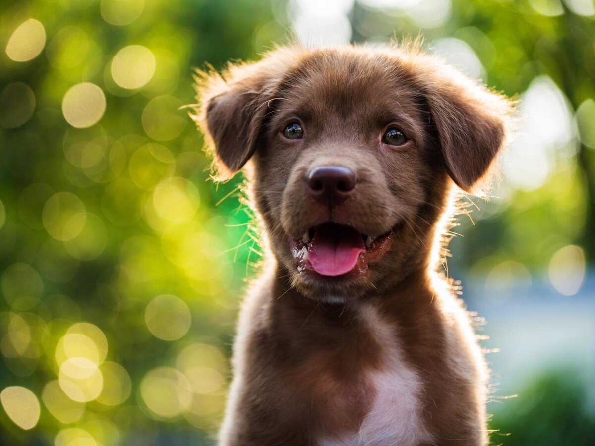 Изображение из открытых источников. 