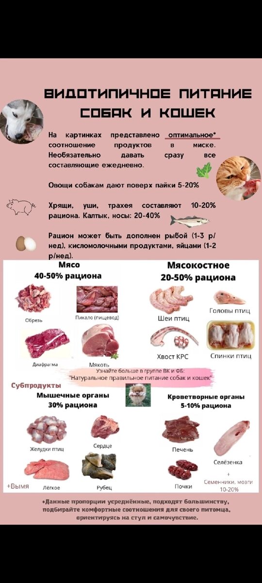 Таблица шпаргалка