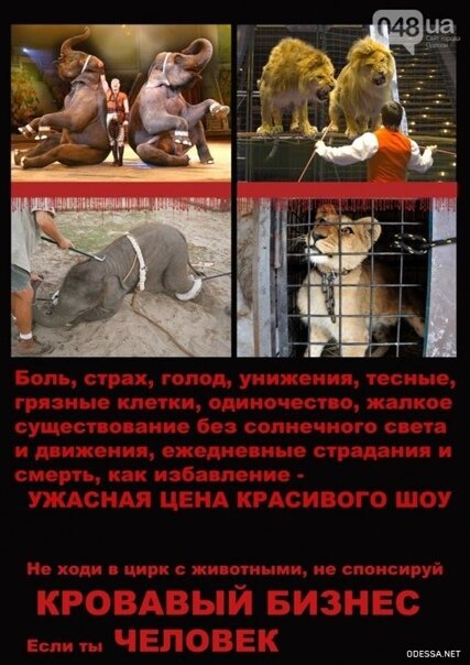 Источник: яндекс