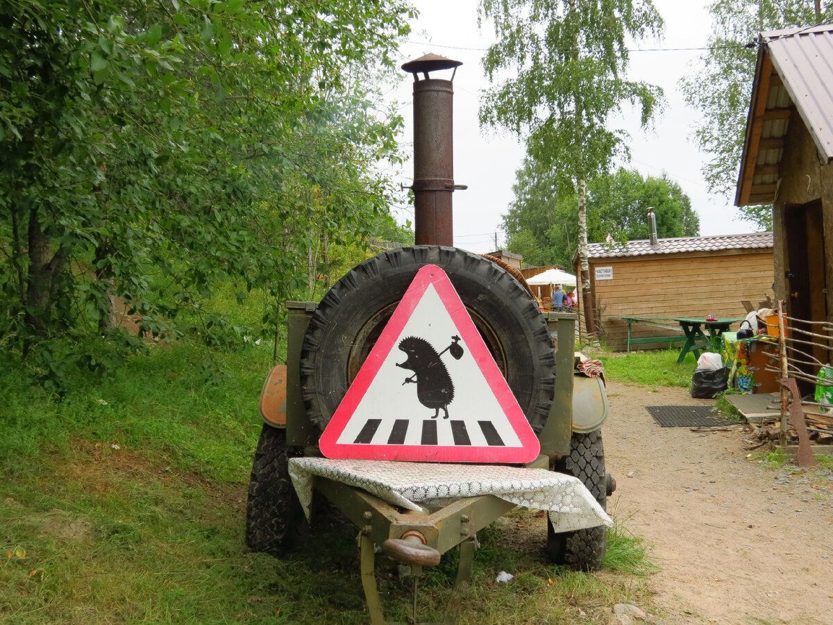 Фото автора  "Ёжик выходит из тумана на поиски счастливой жизни" (пояснения в тексте)