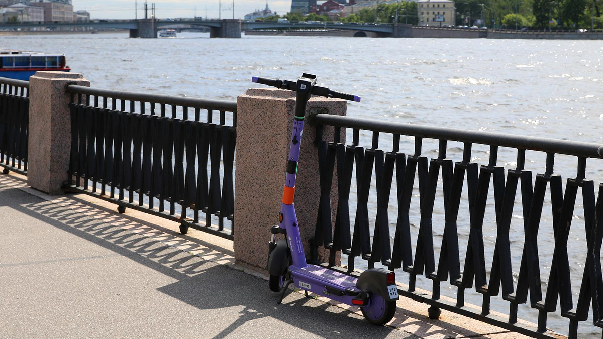 Фото: Maksim Konstantinov/globallookpress.com