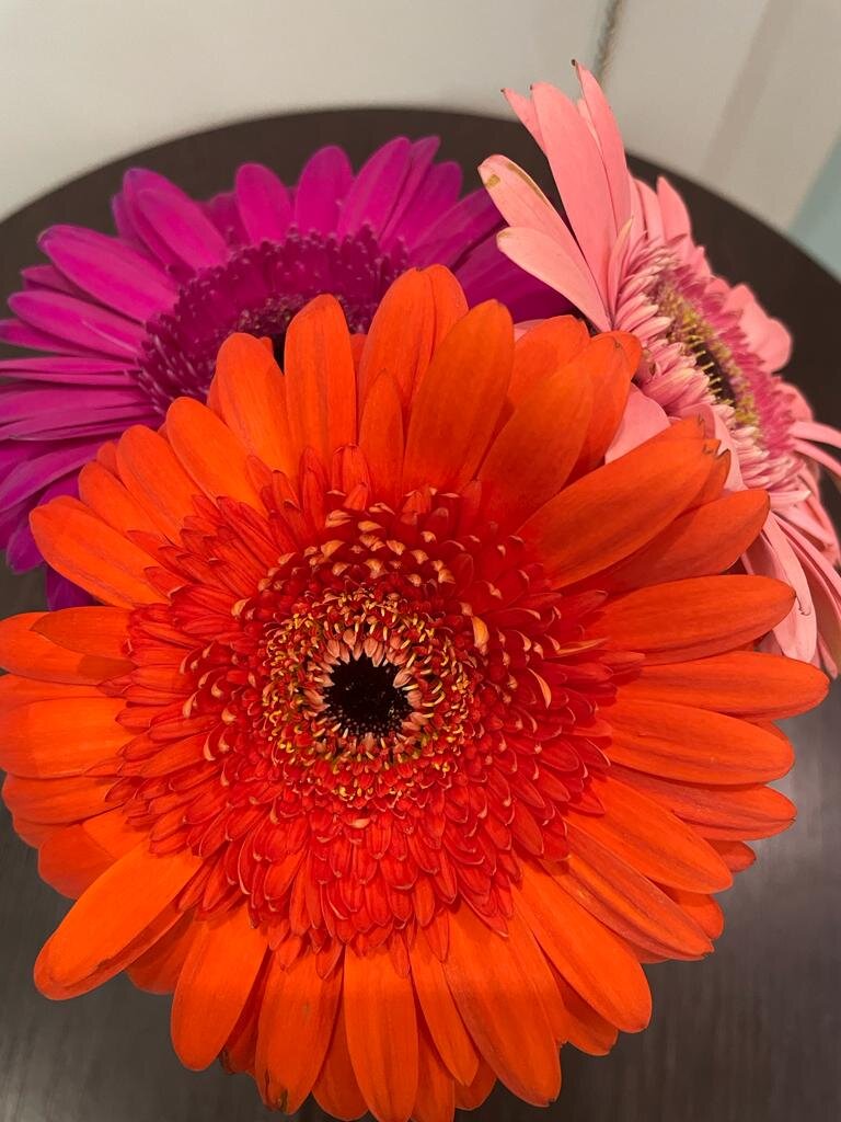 Яркость контрастность цветность. 