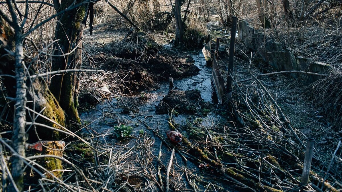     В частном секторе по улице Сосновой в Бугульме завелились бобры. Грызуны живут у реки Бугульминка и питаются корой растущих возле воды деревьев. Местные пожаловались Inkazan на возможное падение растений и заявили, что в результате такого исхода событий может пострадать единственный газопровод.