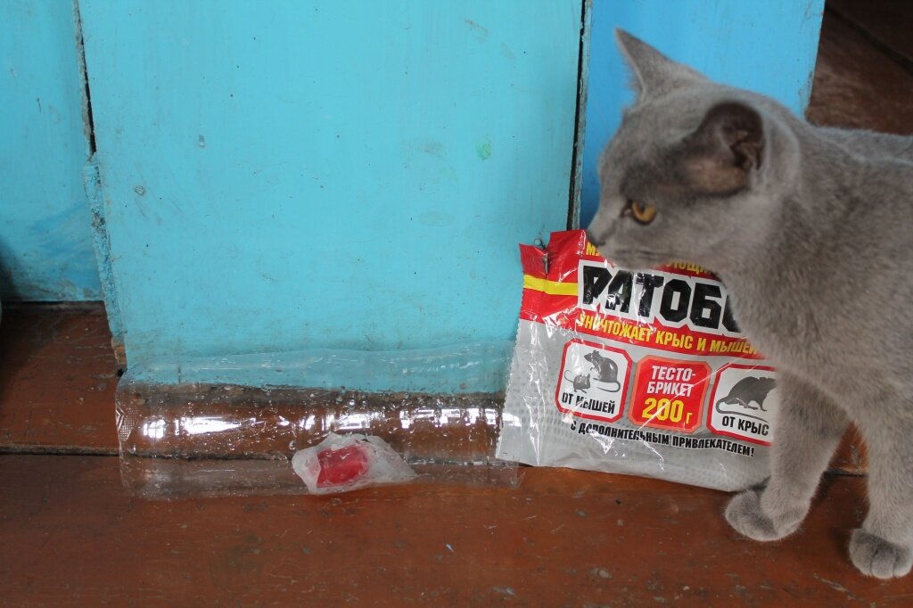 Моя защита от мышей 