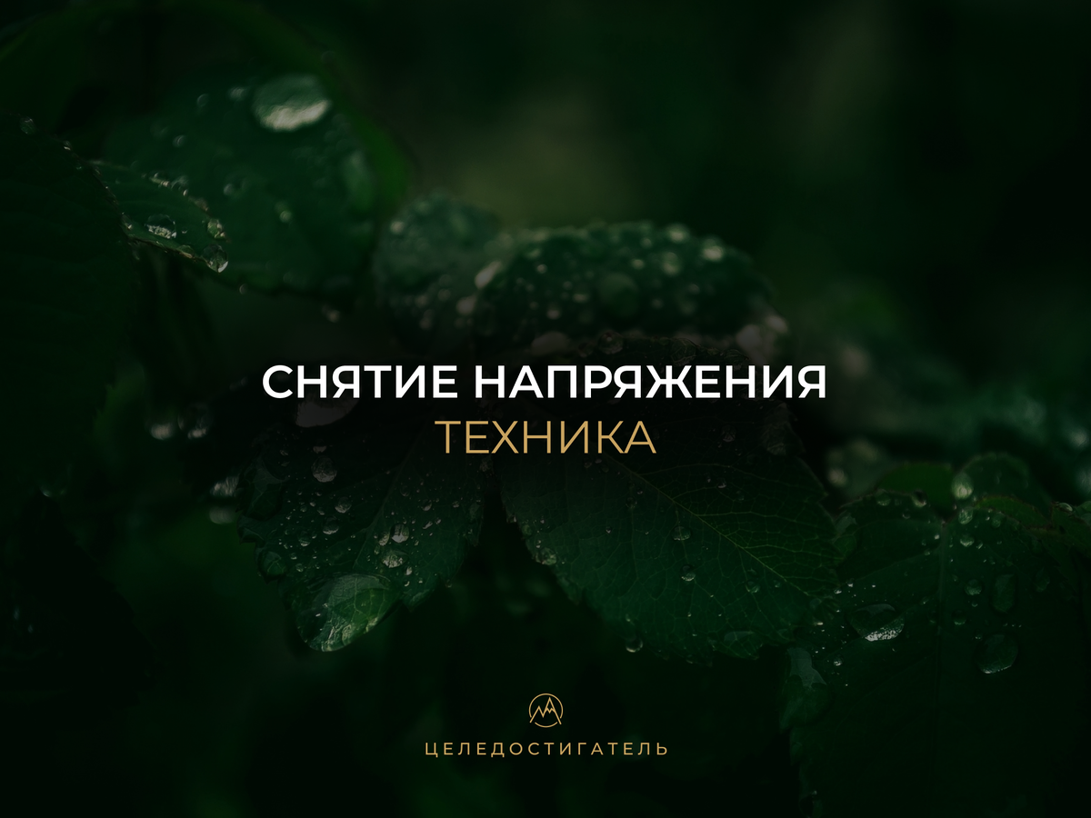 Источник: картинка из открытого источника сети Интернет