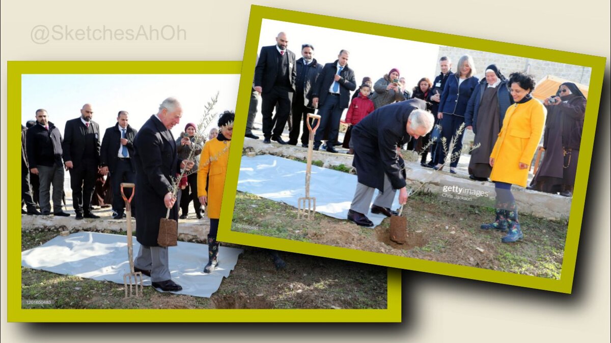 Коллаж автора: принц Чарльз сажает оливковое дерево. Правда было это ещё в 2020г в Палестине.