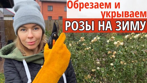 Пять вариантов укрытий для роз и всё, что вам нужно знать об осенней ...