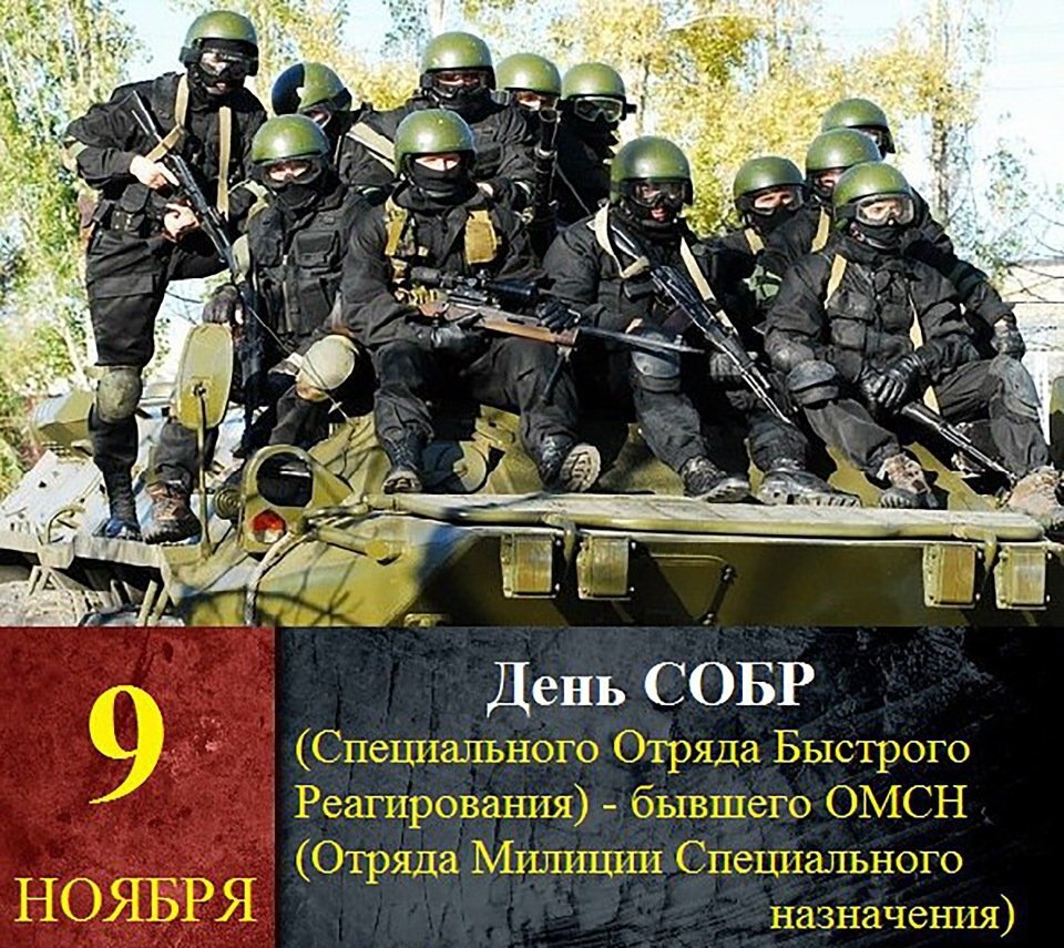 Какие праздники 9 ноября. 9 Ноября день специального отряда быстрого реагирования СОБР. День отрядов милиции специального назначения 9 ноября. День специального отряда быстрого реагирования (СОБР) МВД РФ. С днем СОБРА поздравления