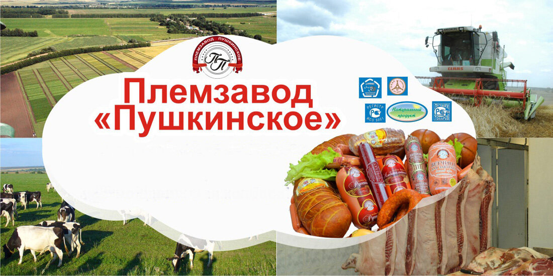 Племзавод Пушкинский Большеболдинский район. Племзавод Пушкинское большое Болдино сайт. Пушкинский Племзавод колбаса. ООО «Племзавод Пушкинское».