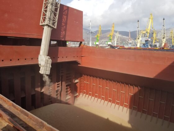     Фото: Федеральная таможенная служба