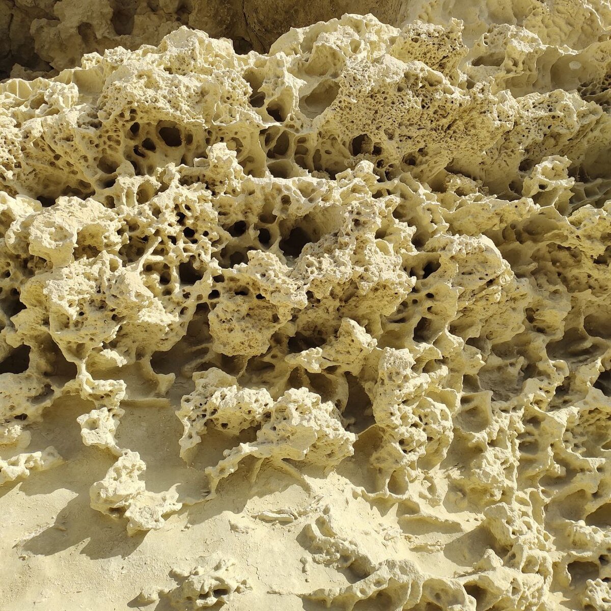 "Каменное кружево" скал Баклы. Автор фото: Кузьминская Лидия