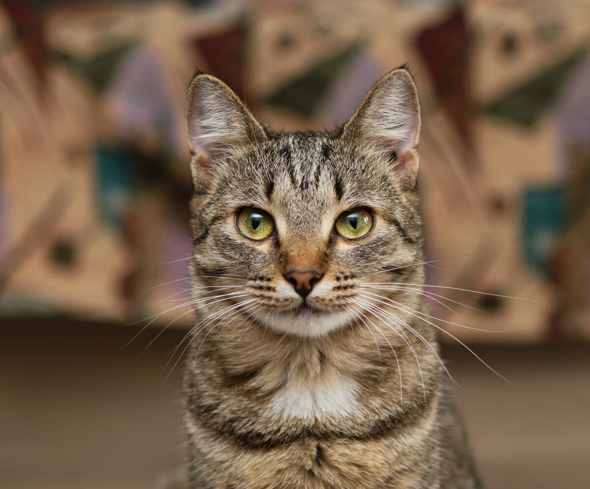 Сами вы здесь на Ельцина похожи!