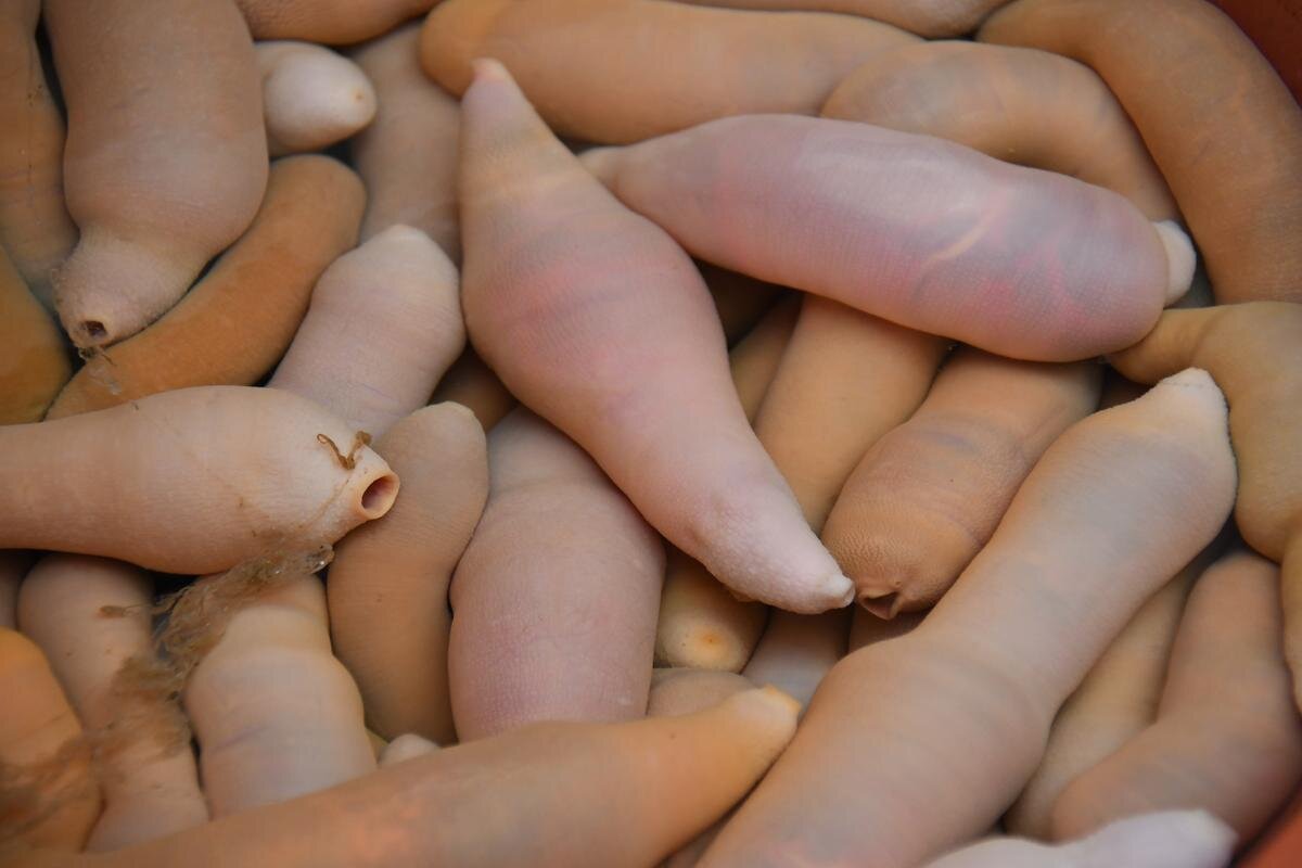 Выглядит мерзко