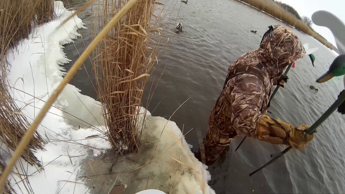 Охота на утку. Фото Ютуб-канал  Duck Hunter Pro.