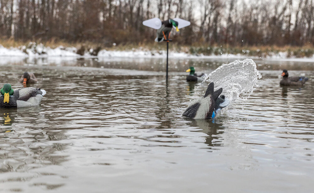 хота на утку с чучелами. Фото huntingart.ru.