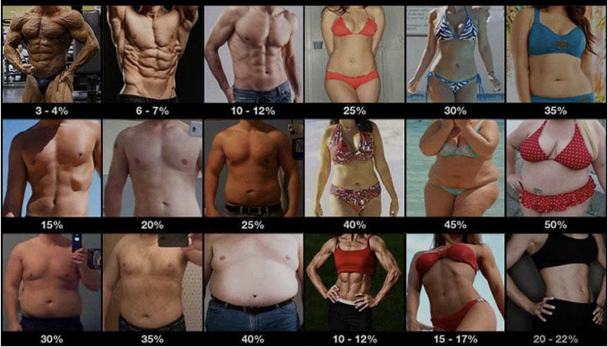Normal body. Коллажи процента жира. Процент жира в теле. Пресс процент жира. Процент подкожного жира.