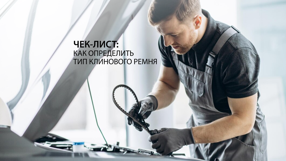 Чек-лист: как правильно определить тип клинового ремня | Bearingstore.ru |  Дзен