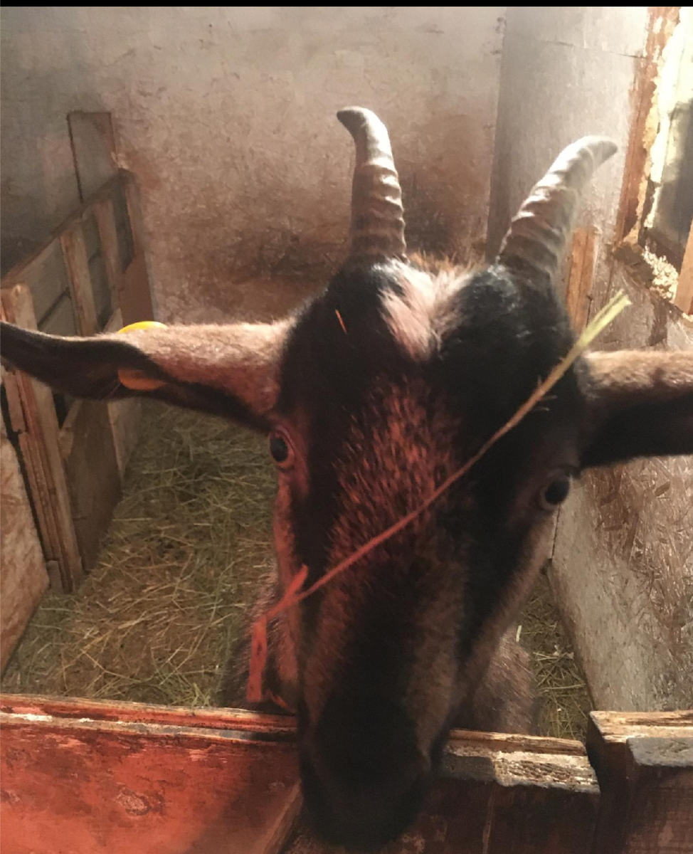 Фото автора канала.