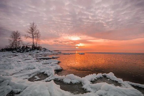 Сибирь, р. Обь