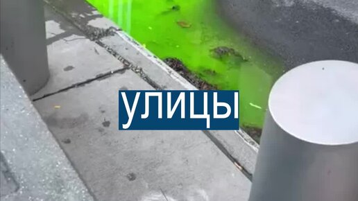 Короче, новости | Нью-Йорк топит неизвестная зеленая слизь | Дзен