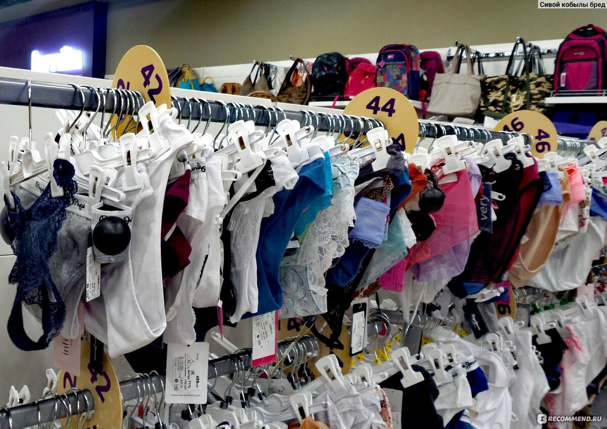 Фото из интернета 