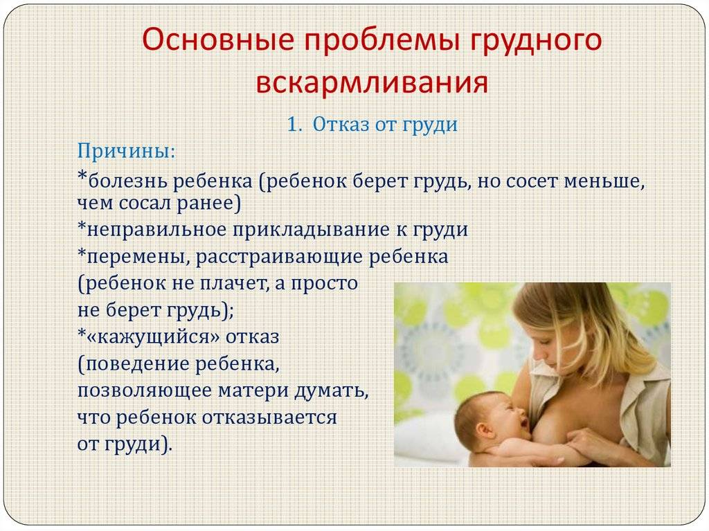 Как кормить грудью | Medela