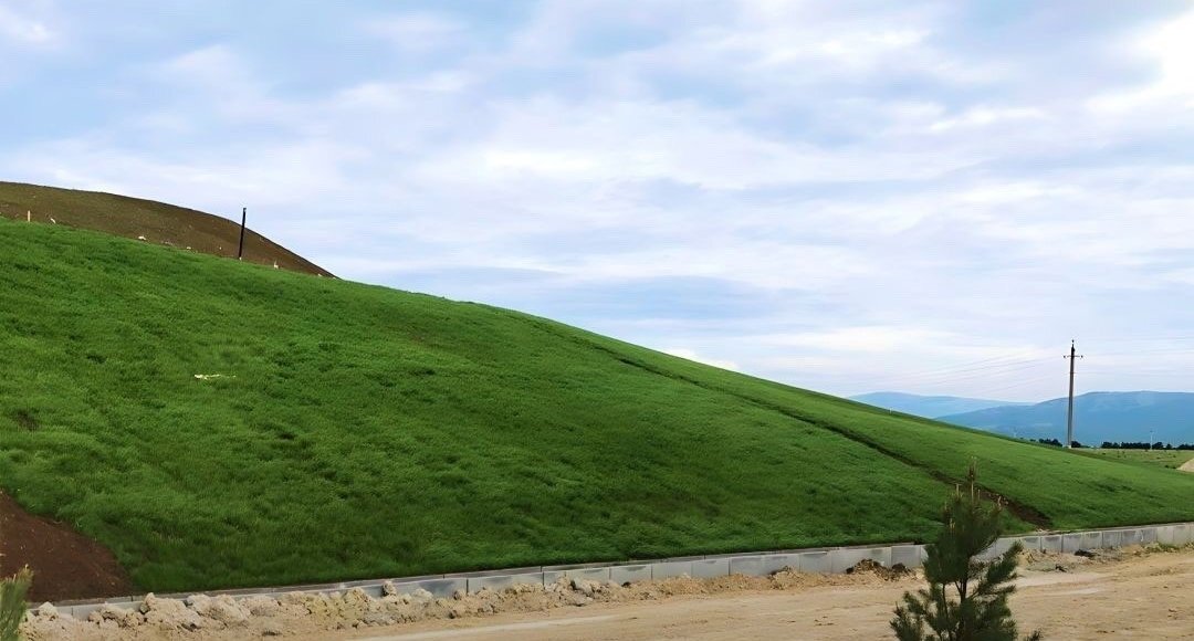    Фото: Росприроднадзор