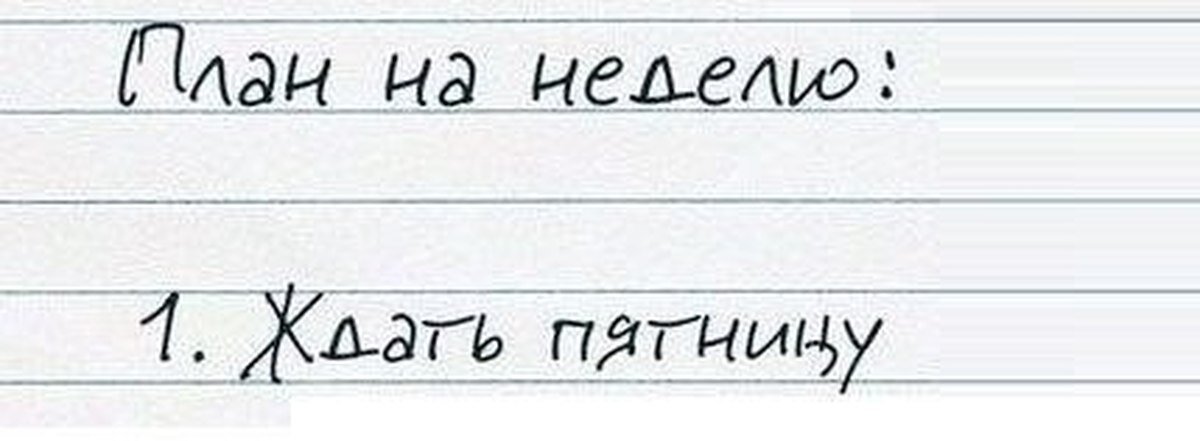Планы на день мем