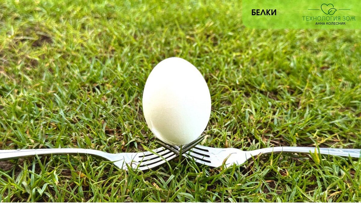 Белки в сбалансированном рационе. Нутрициолог Анна Колесник