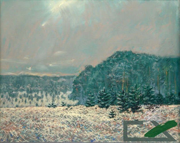 Заростающие поля. 2007 г.  Источник: https://omch.ru/