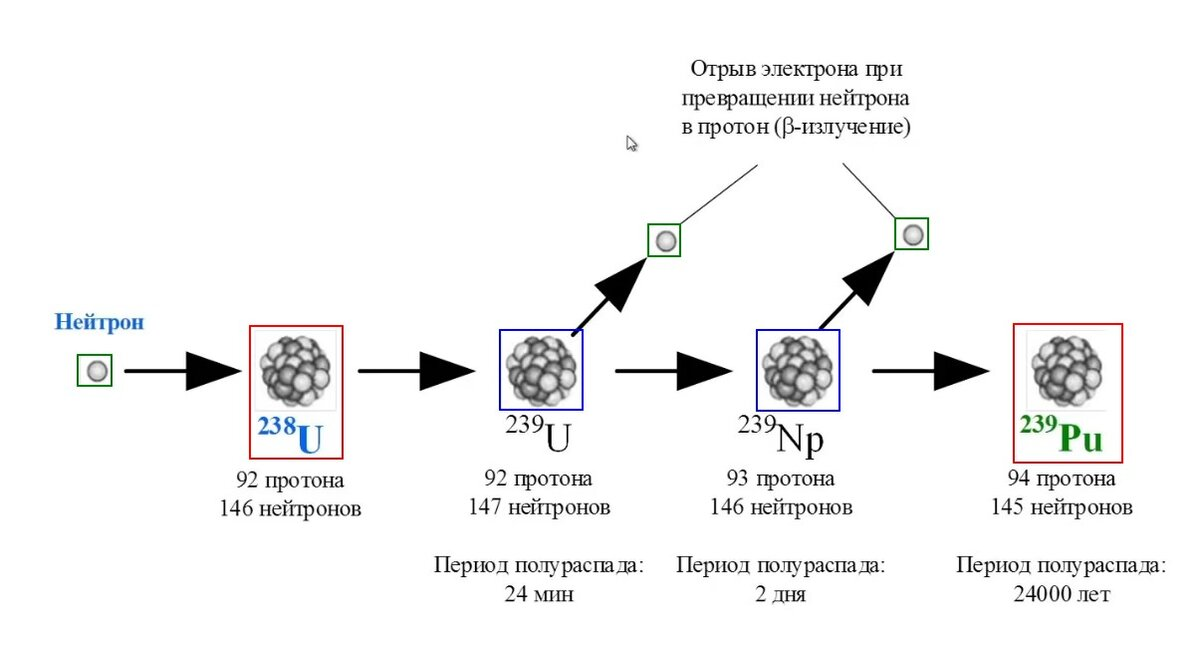 Нейтрон поглощается изотопом урана-238, в результате чего получается изотоп урана-239, и далее он трансмутирует в изотоп плутония-239.