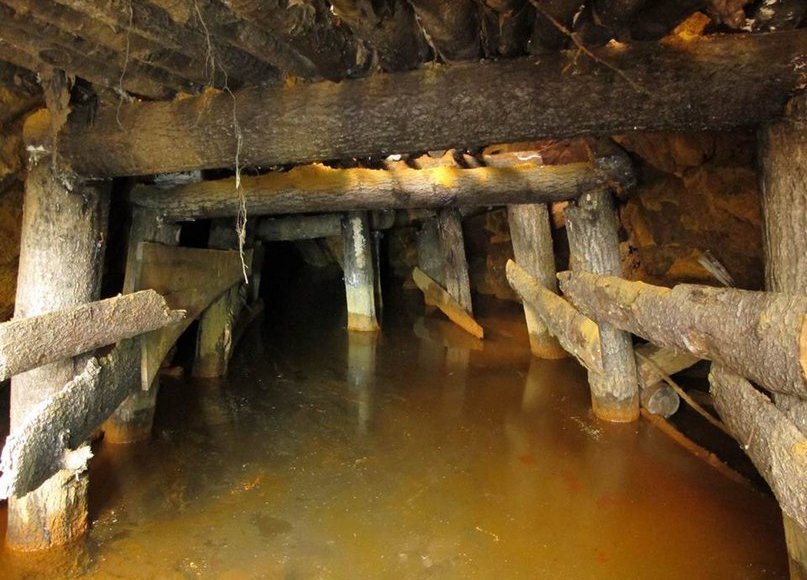    Фото: mediakub.net