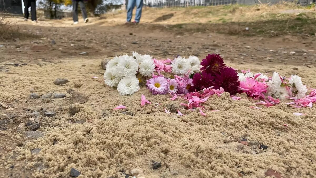     Пока медики 25-й больницы Волгограда ведут борьбу за жизнь рухнувшей с крыши девочки, сердобольные волгоградцы превратили личную страницу пострадавшей в стену плача, советов и прогнозов. Не все пользователи верят в благополучный исход, но большинство выражают поддержку и сочувствие.