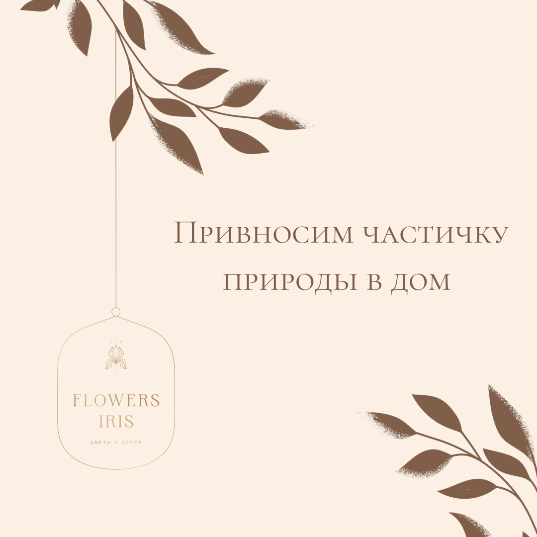 Как насчёт комнатных растений?