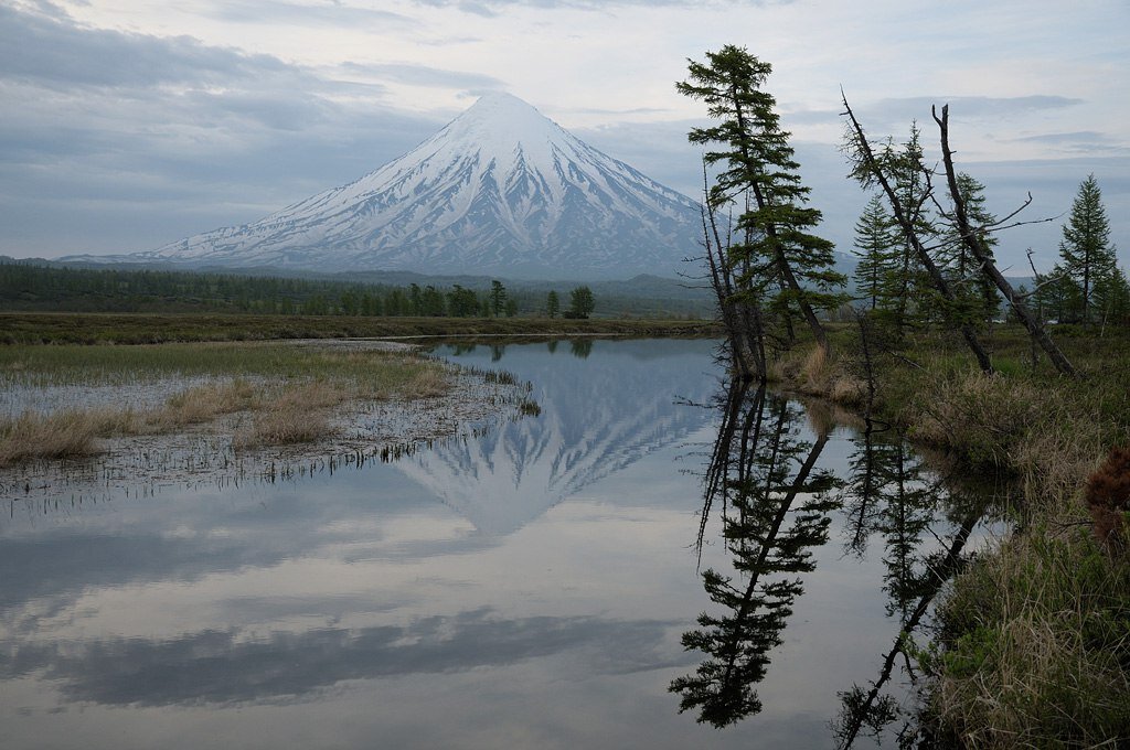 Кроноцкий заповедник Елизово