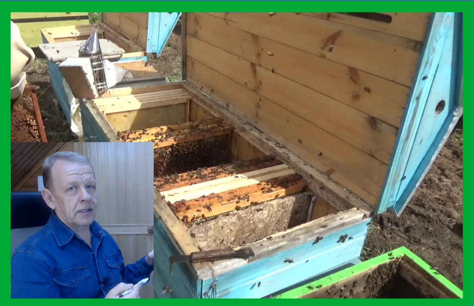 Владимирский улей Эко в работе. 